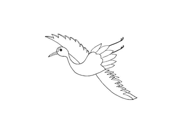 飞翔的丹顶鹤怎么画-图2