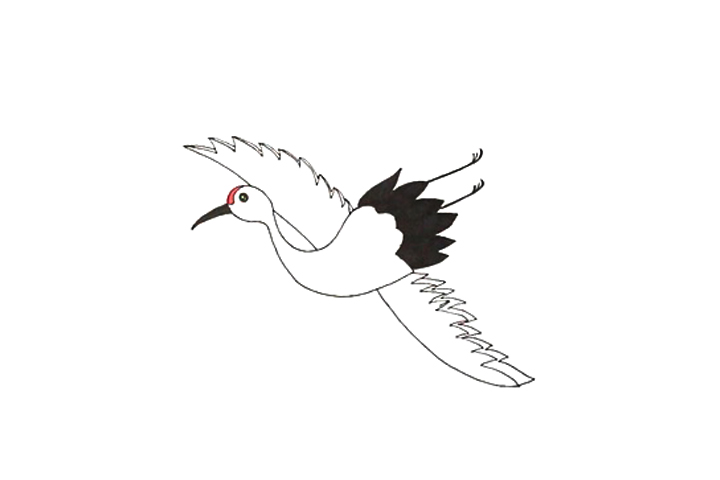 飞翔的丹顶鹤怎么画-图3