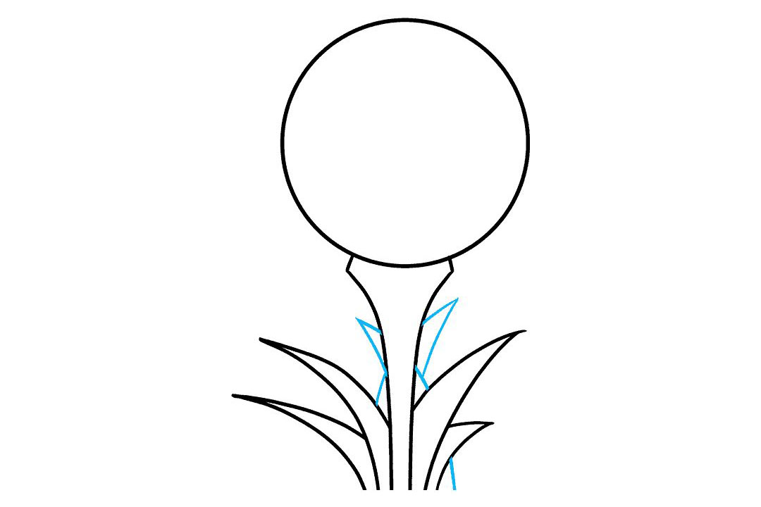 高尔夫球怎么画-图5