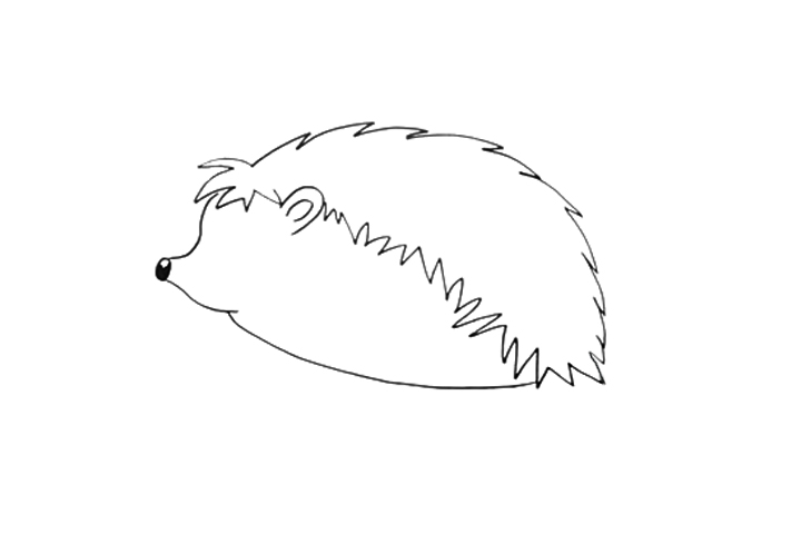 怎么画刺猬-图2