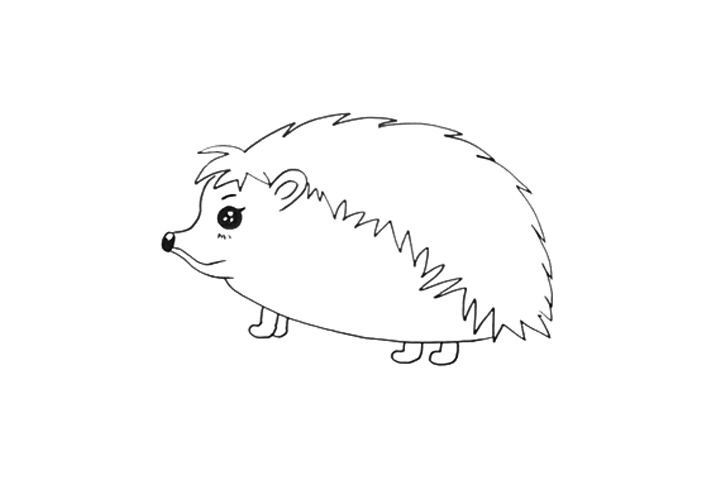 怎么画刺猬-图3