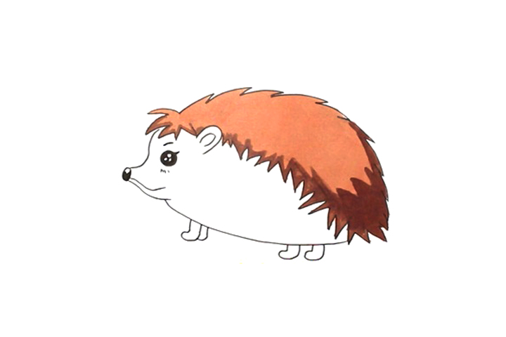 怎么画刺猬-图4