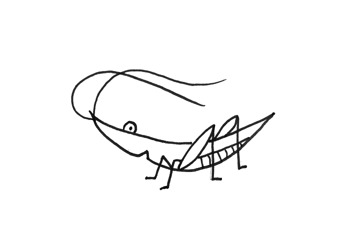 纺织娘怎么画 纺织娘是什么动物-图3