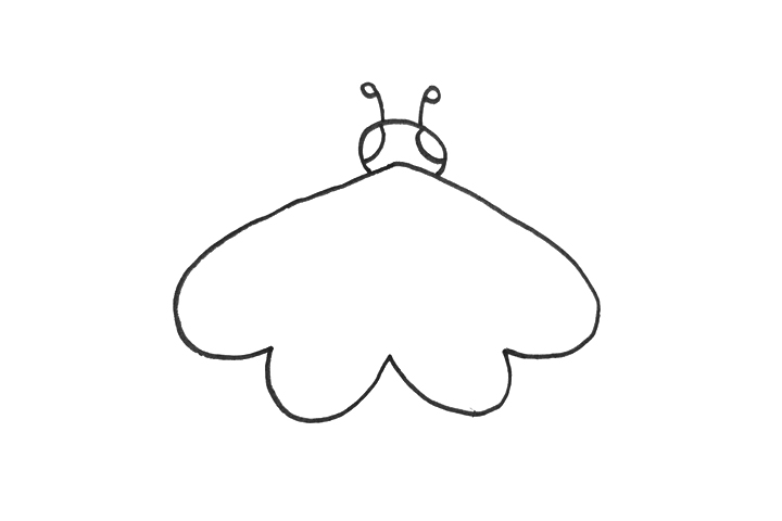 飞蛾怎么画 飞蛾是什么动物-图2