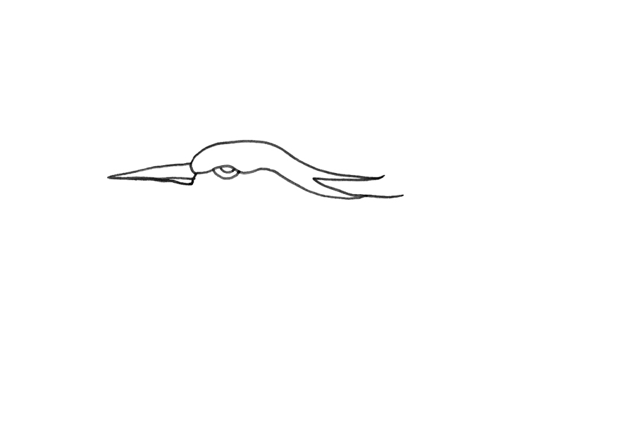 怎么画白鹭 白鹭是什么-图1