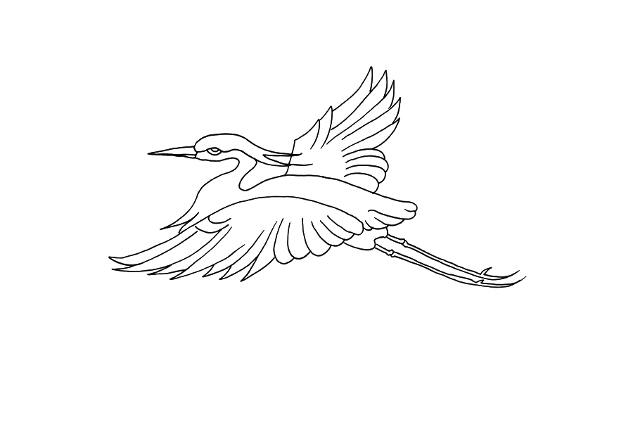 怎么画白鹭 白鹭是什么-图4