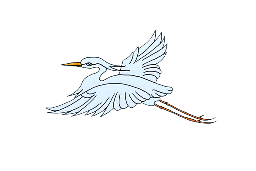 怎么画白鹭 白鹭是什么