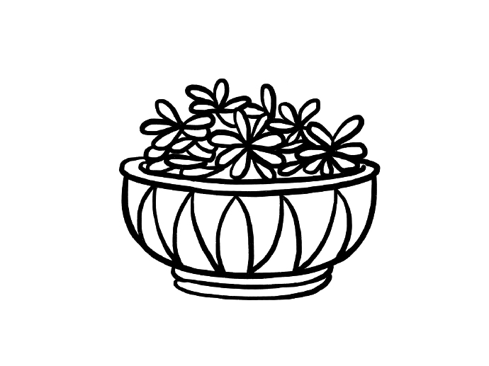 一组漂亮的盆栽简笔画图片-图2