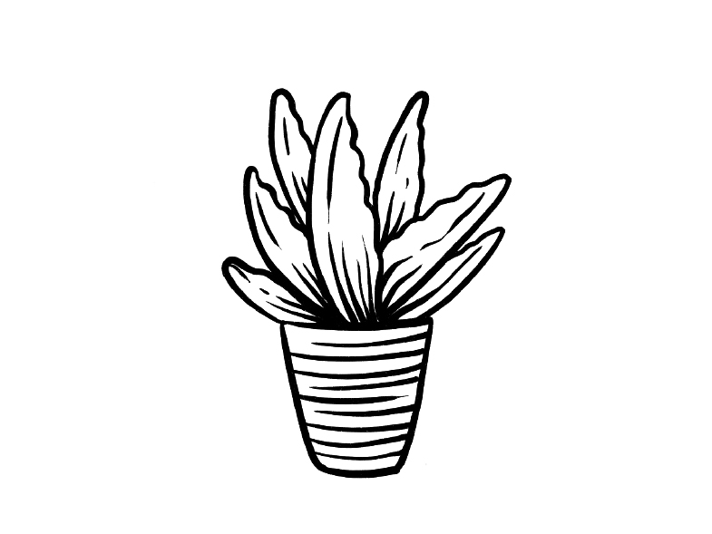 一组漂亮的盆栽简笔画图片-图6