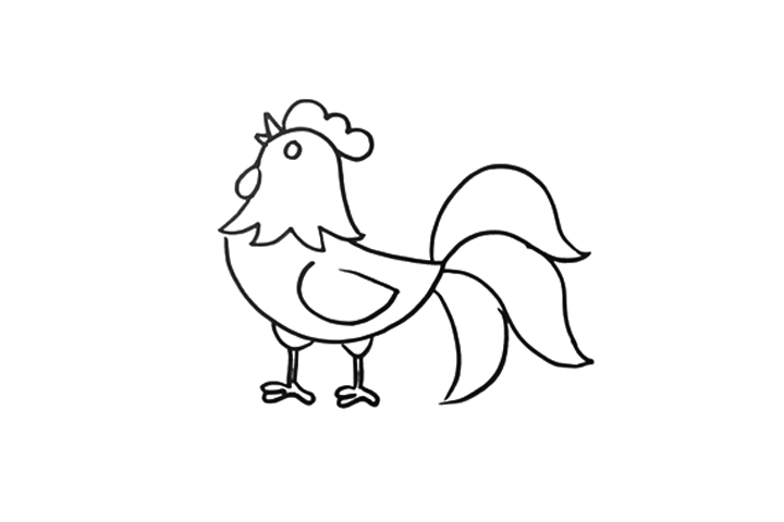 漂亮的大公鸡简笔画-图3