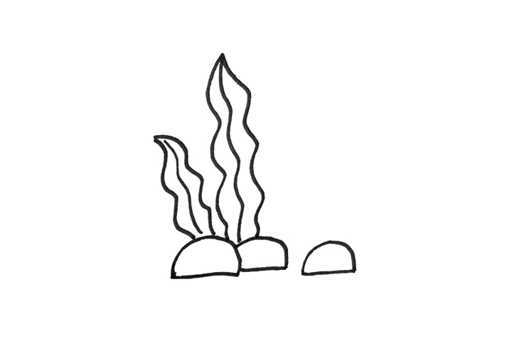 海草怎么画-图2