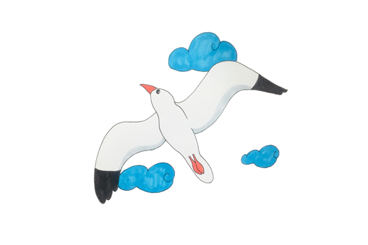 空中飞翔的海鸥怎么画 海鸥是什么