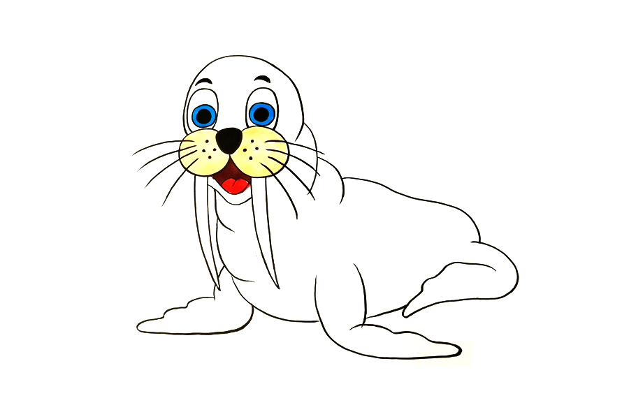 海狮怎么画 海狮是什么-图4