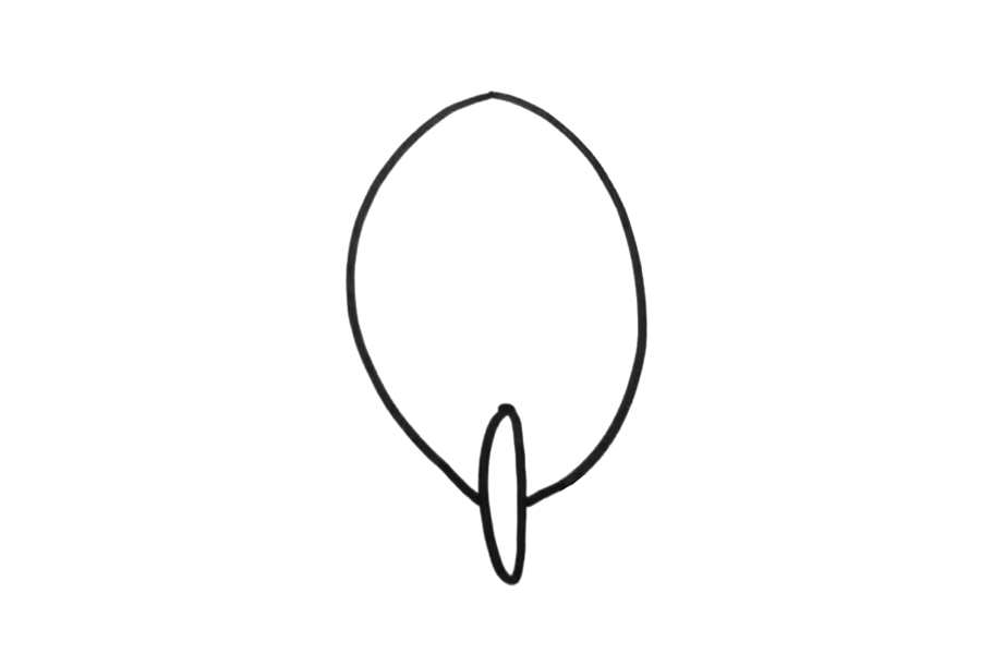 可爱的火箭怎么画-图1