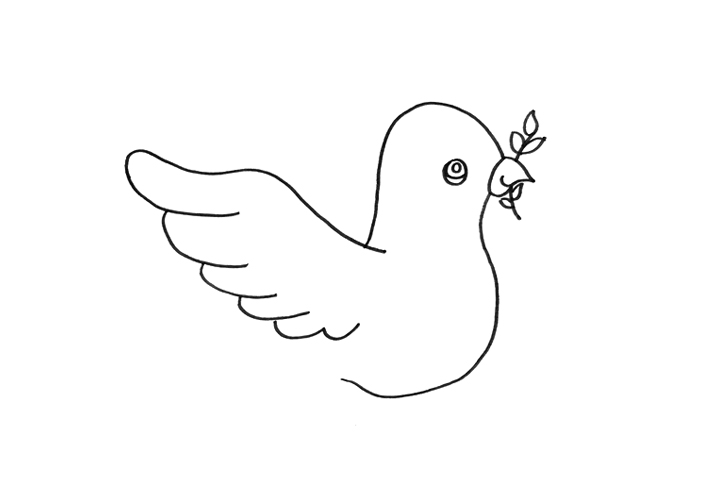 和平鸽怎么画-图2