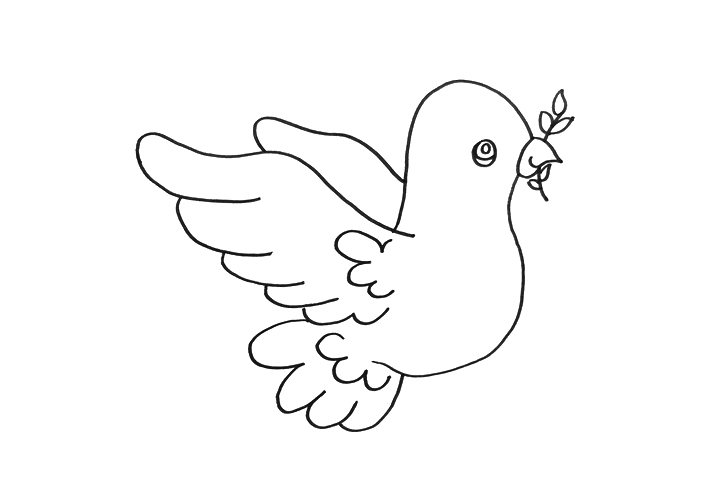 和平鸽怎么画-图3