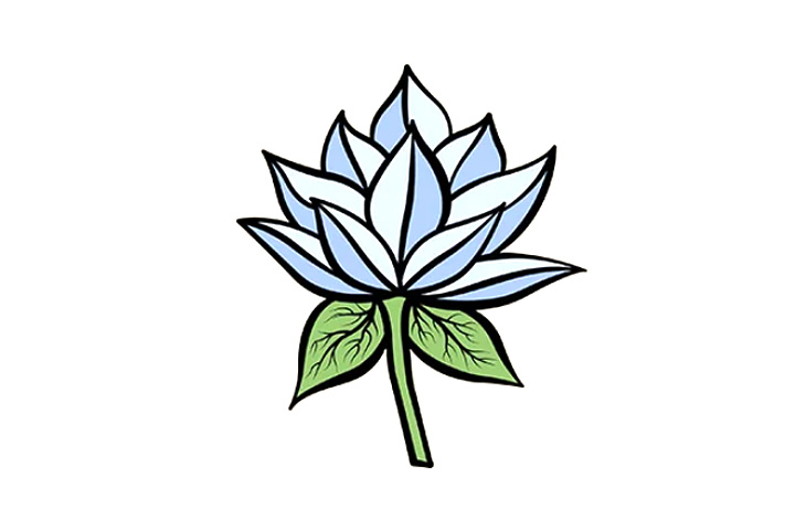 各种荷花的画法-图4