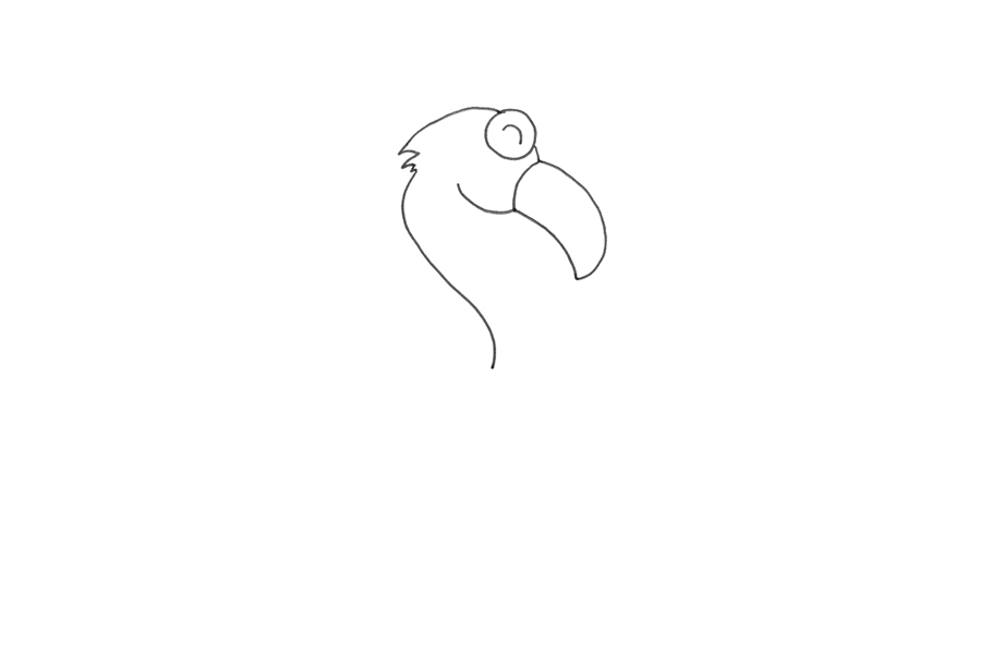 如何画漂亮的火烈鸟-图2