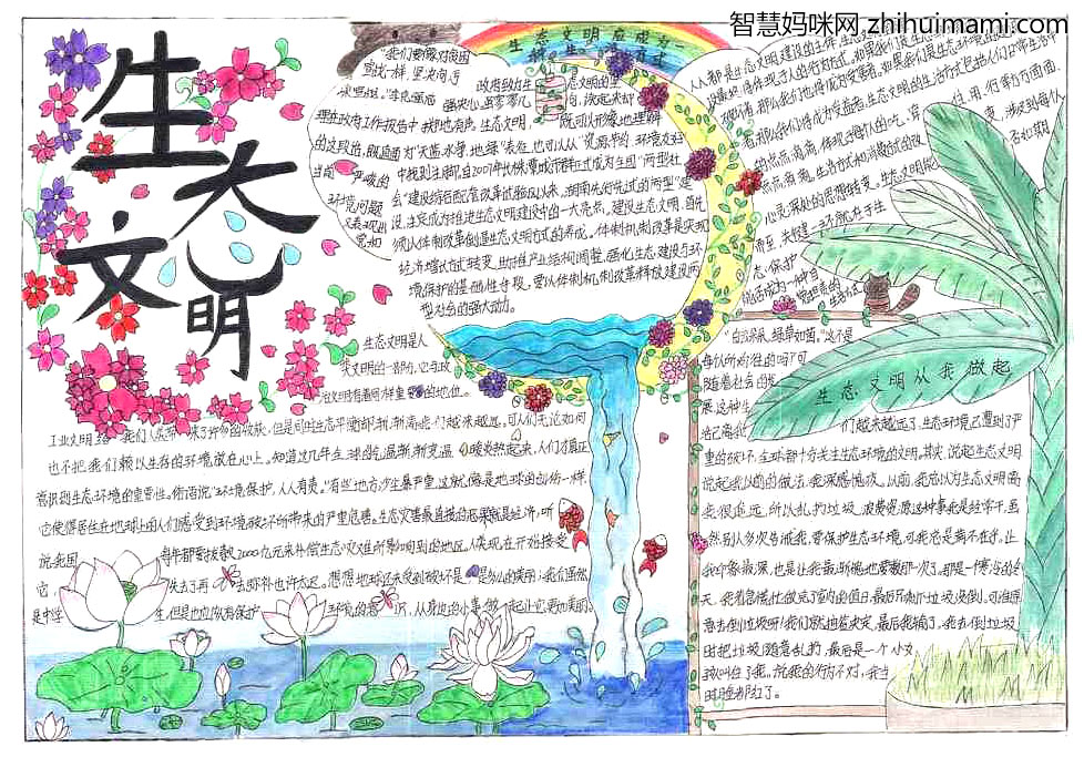 生态文明手抄报简单又漂亮-图4