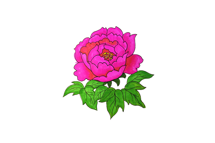 一组漂亮的花朵简笔画图片大全-图4