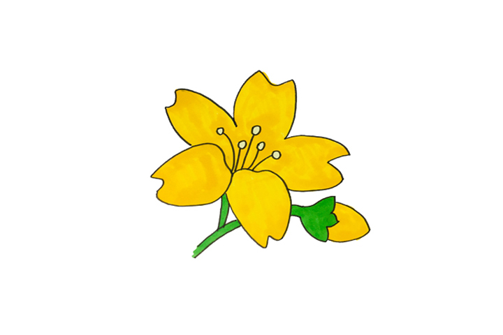 一组漂亮的花朵简笔画图片大全-图7
