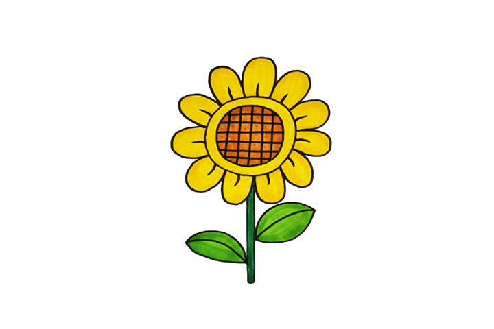 一组漂亮的花朵简笔画图片大全-图9