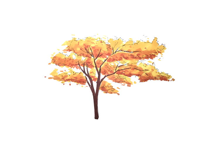 一组漂亮的大树简笔画图片大全-图4