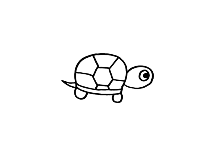 怎么画简单可爱的小乌龟-图3