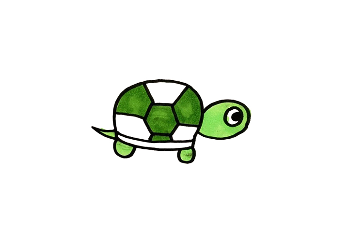 怎么画简单可爱的小乌龟-图4