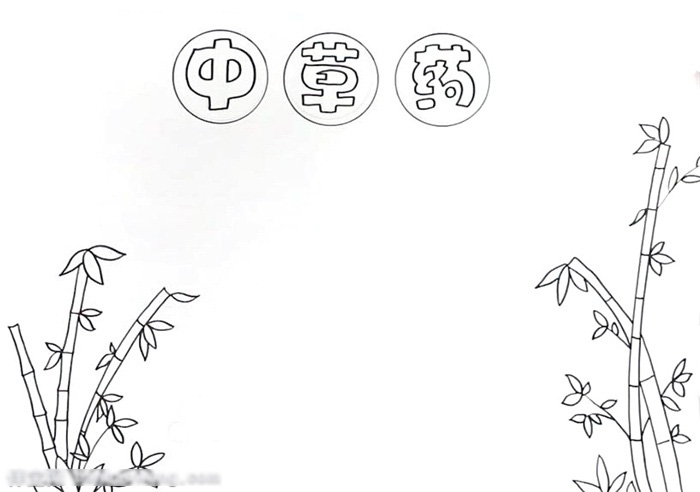 关于中草药的手抄报怎么画-图1