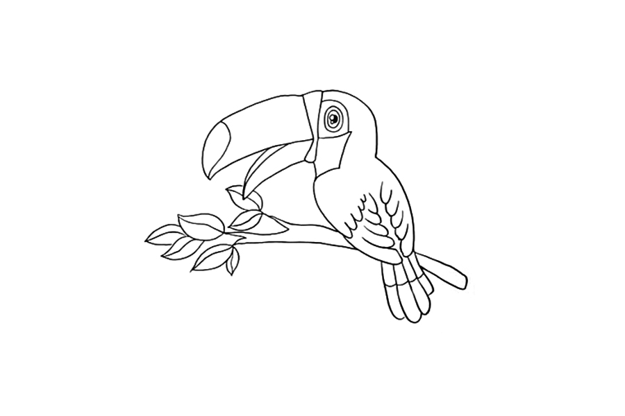 漂亮的巨嘴鸟怎么画-图3