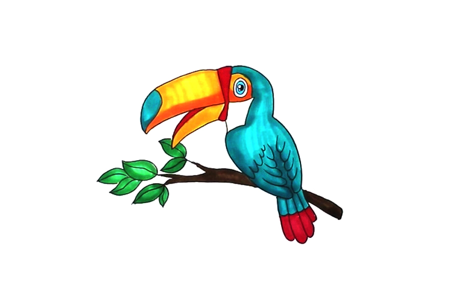 漂亮的巨嘴鸟怎么画