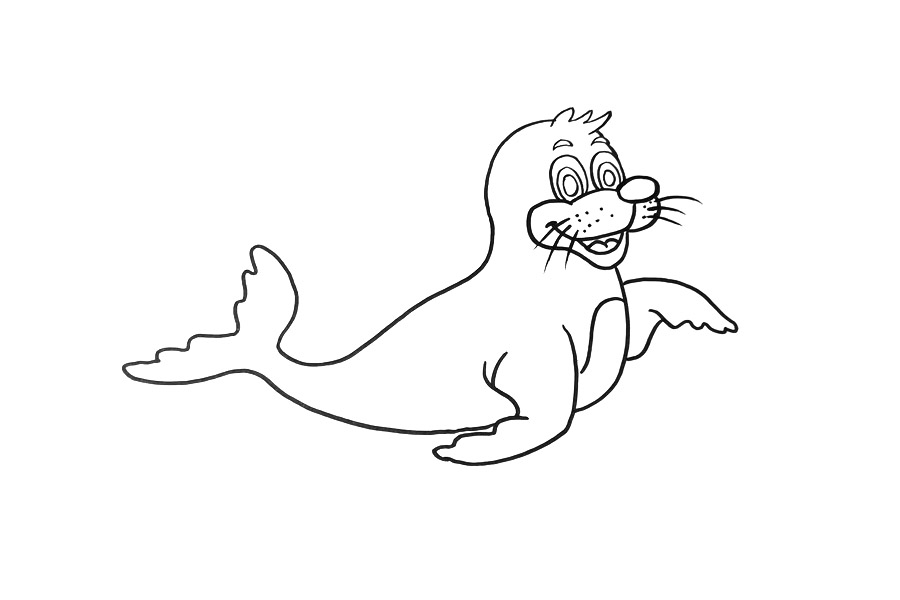 可爱海豹怎么画-图2