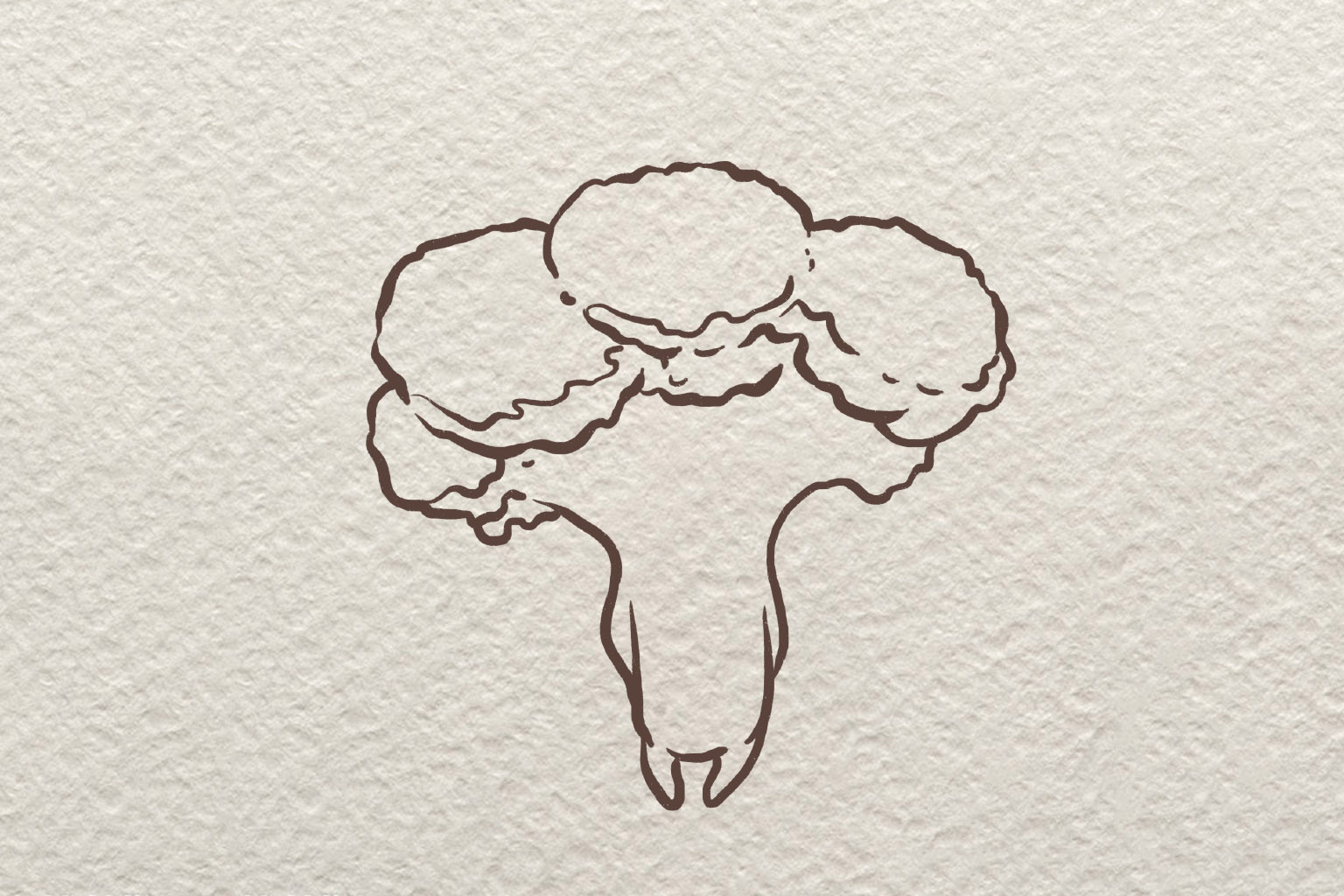 卡通西兰花简笔画画法步骤-图4