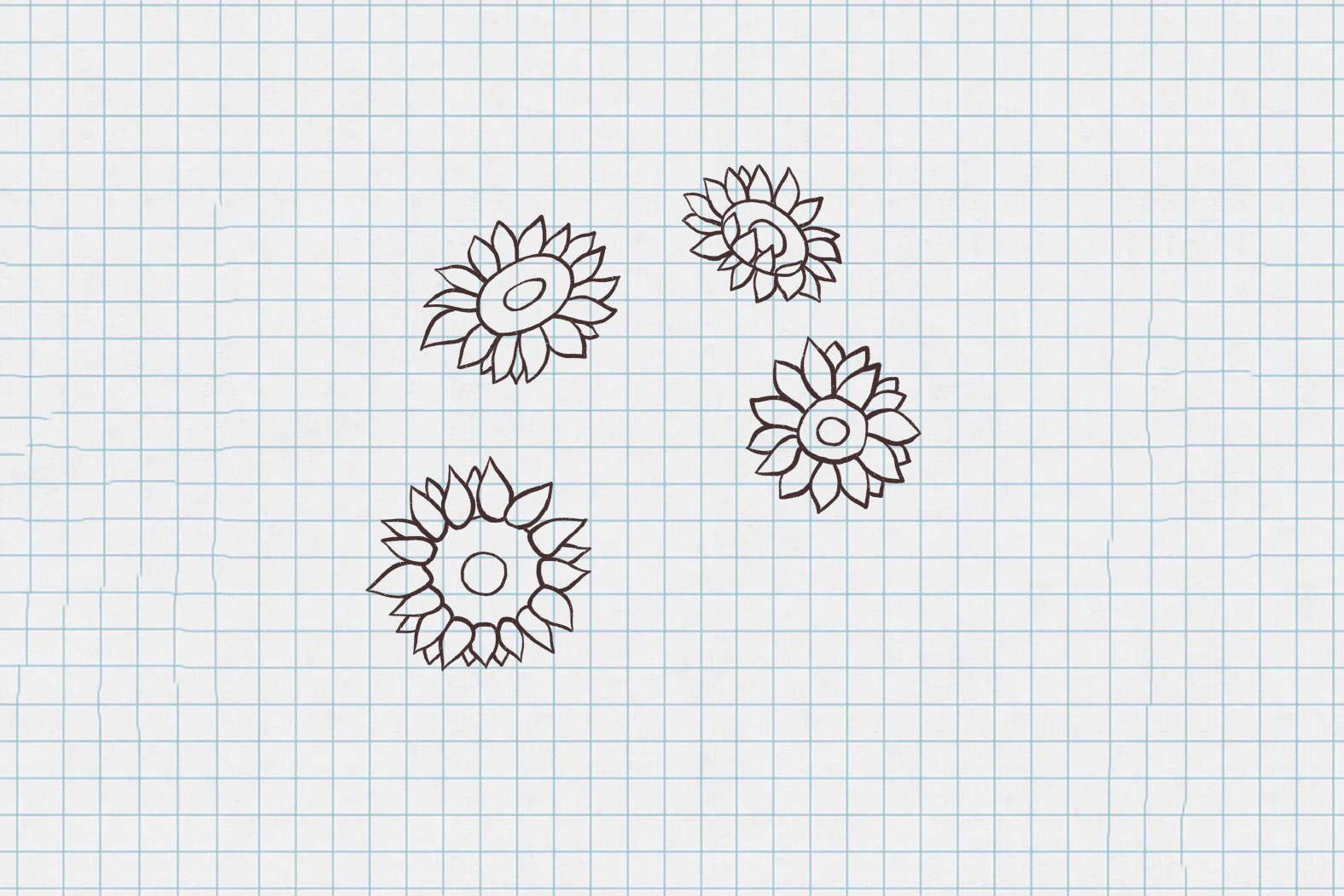 有点复杂但很漂亮的向日葵小屋简笔画画法-图1