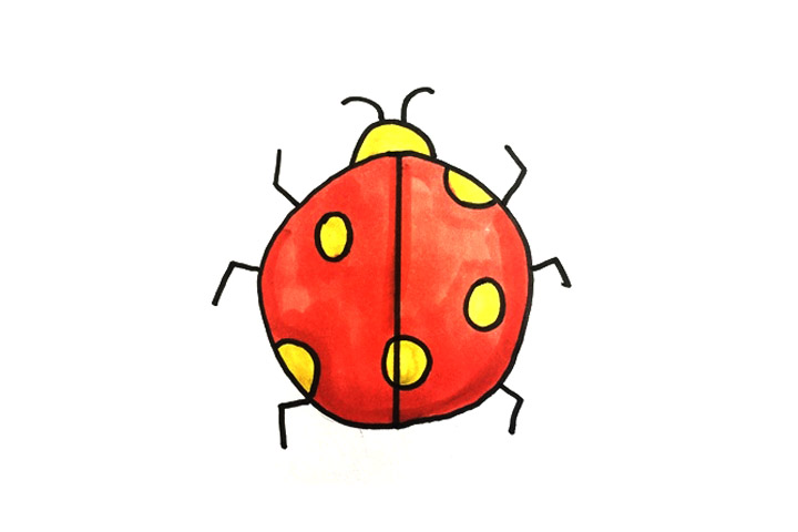 昆虫简笔画大全 七星瓢虫的画法步骤