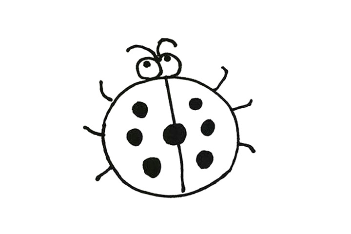 七星瓢虫的简单画法-图3