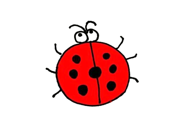 七星瓢虫的简单画法