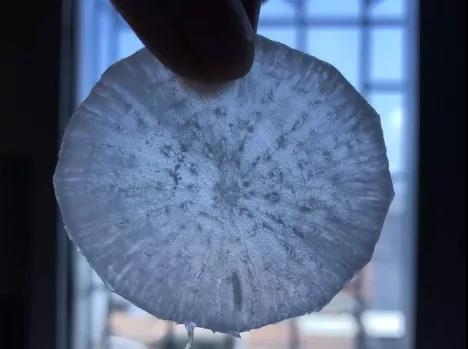 把白萝卜切薄。