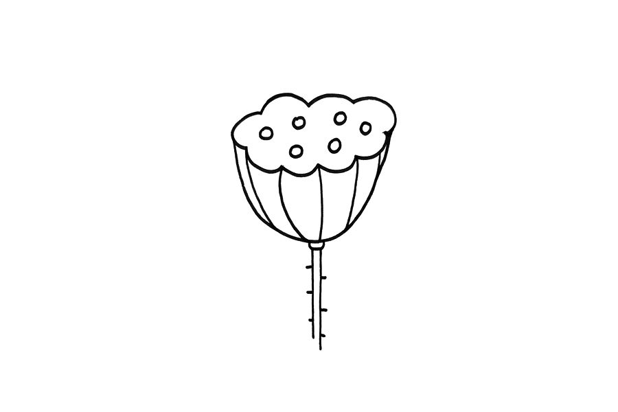 莲蓬怎么画-图3