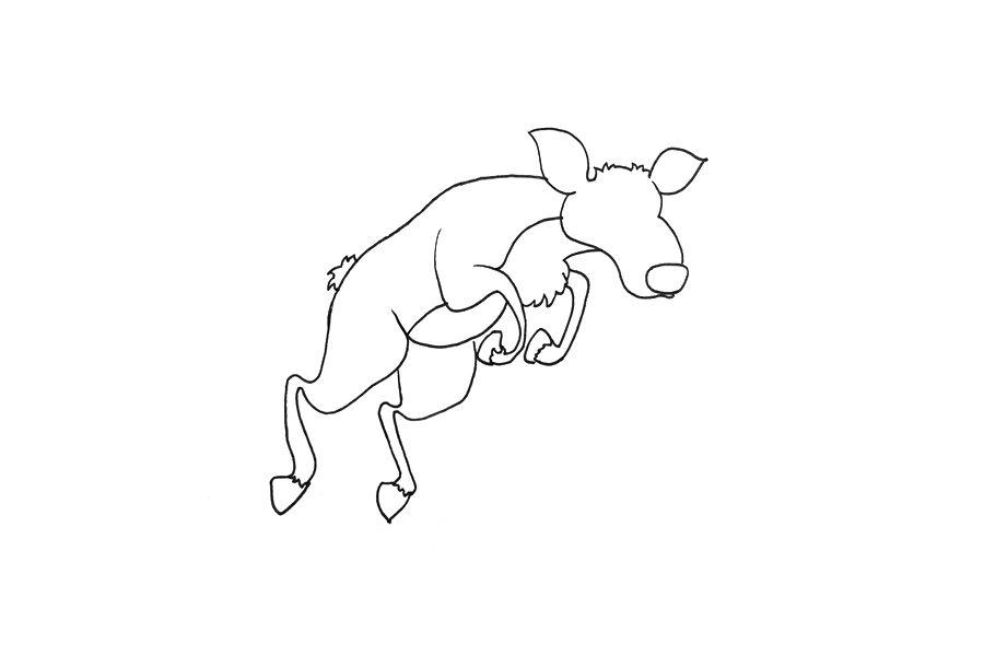 羚羊怎么画-图3