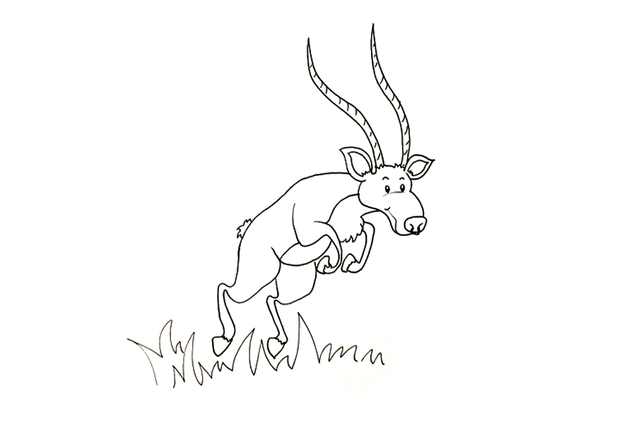 羚羊怎么画-图4