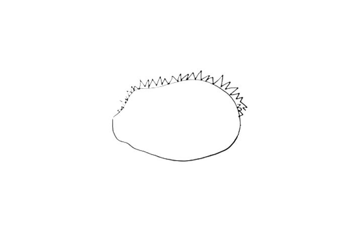 打开的榴莲怎么画-图1