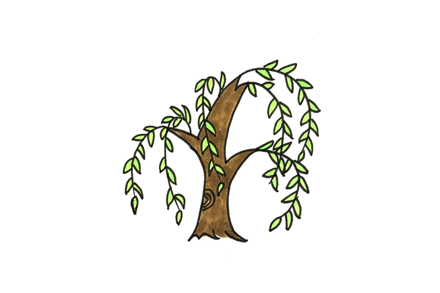 一步一步学画柳树