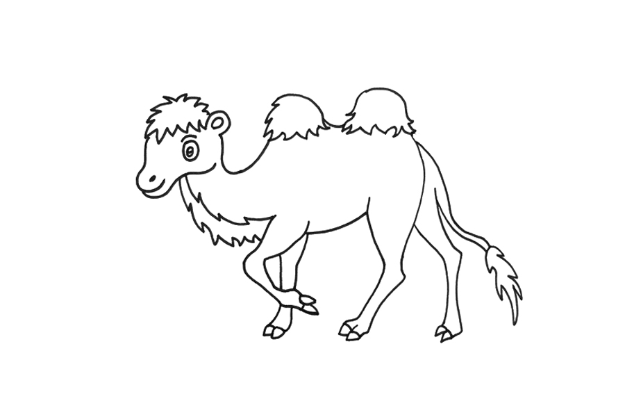 骆驼怎么画简单-图5