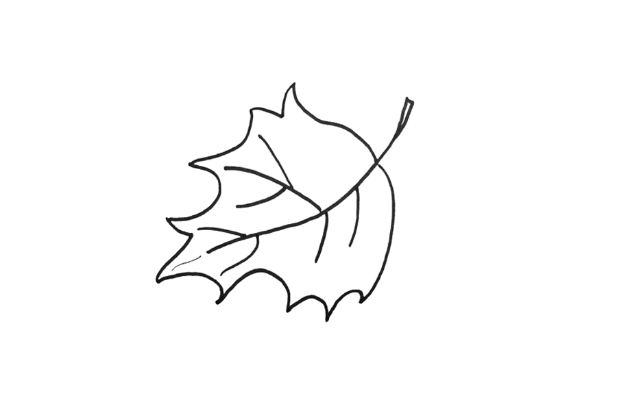秋天落叶怎么画-图3