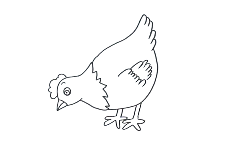 一步一步学画母鸡-图3