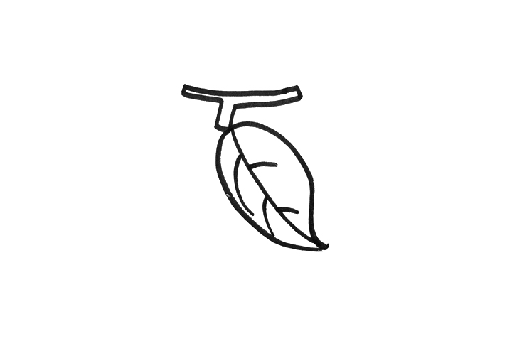 简单的柠檬简笔画画法-图2