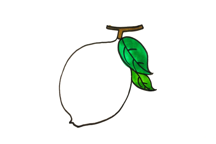 简单的柠檬简笔画画法-图4