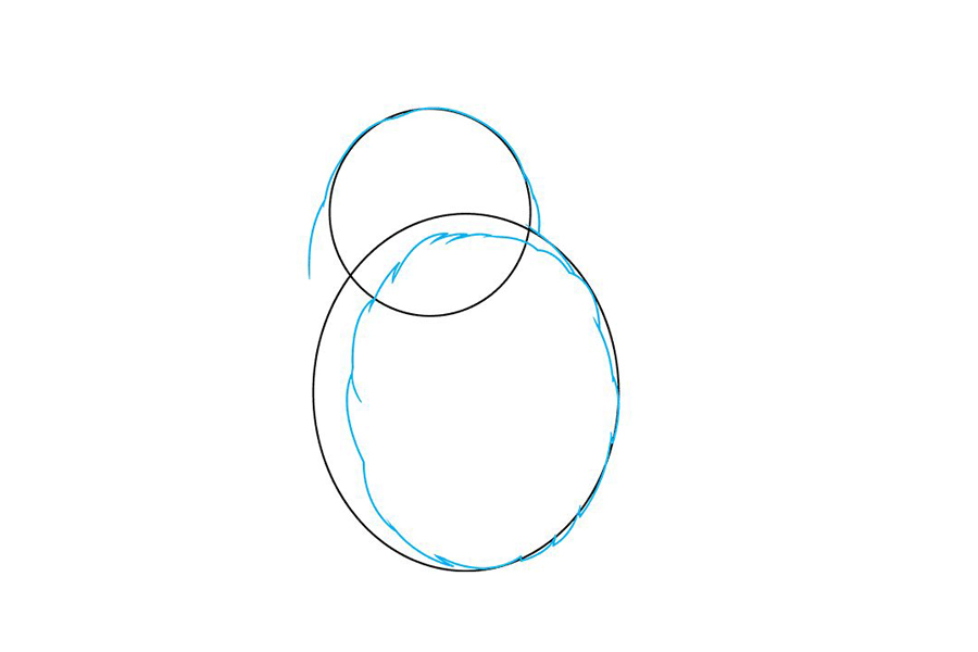 一步一步学画龙猫-图2